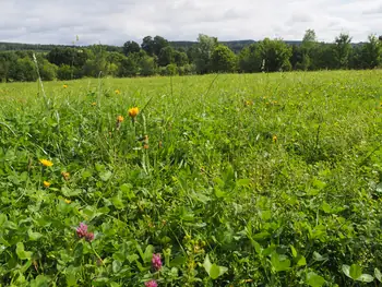 Ferme de la Planche (barefoot path) (België)